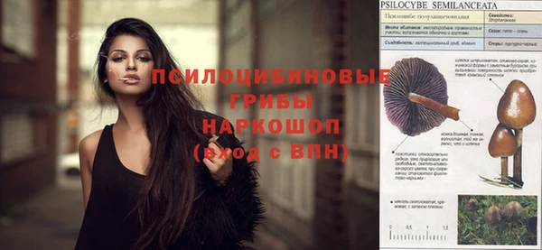 соль курить ск Михайловск