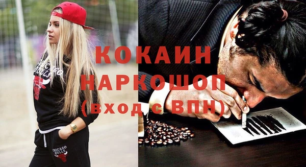 молекула духа Арсеньев