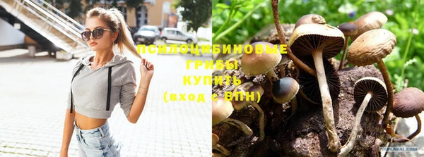 молекула духа Арсеньев